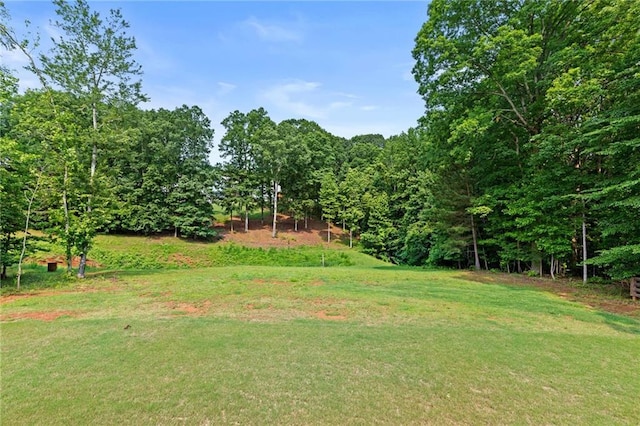 5116 Chastain Way, Gainesville, GA 30507 - view of green lawn featuring a view of trees
