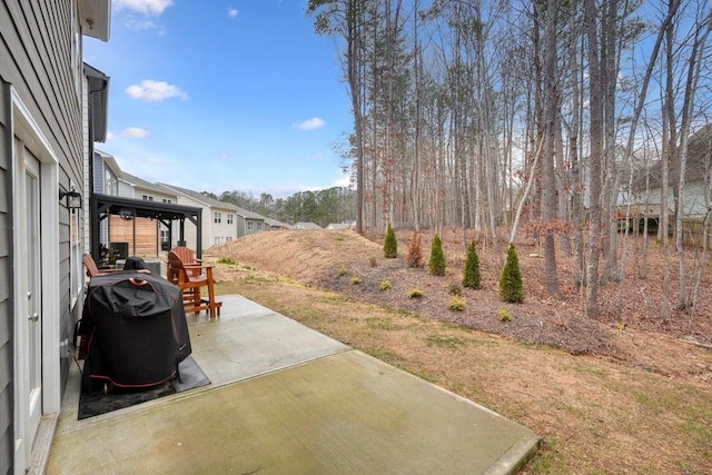 view of yard featuring a patio