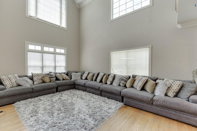 living area featuring plenty of natural light, wood finished floors, and crown molding