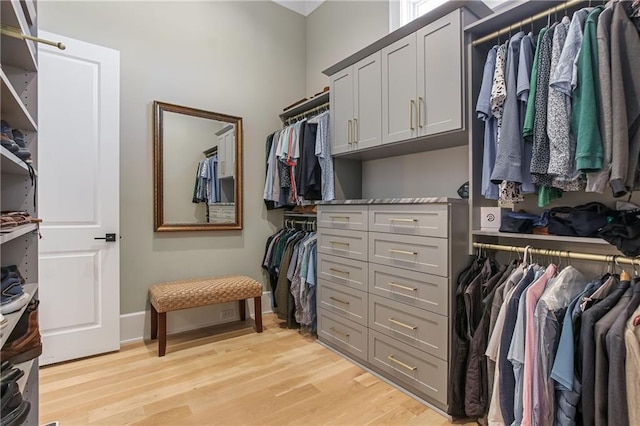 walk in closet featuring light wood-style floors