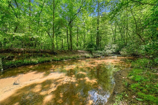 500 Nolan Rd, Carrollton, GA 30116 - view of local wilderness