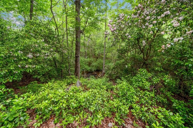 500 Nolan Rd, Carrollton, GA 30116 - view of woods