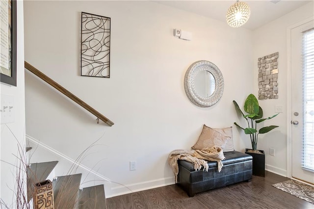 entryway featuring dark wood-type flooring and plenty of natural light