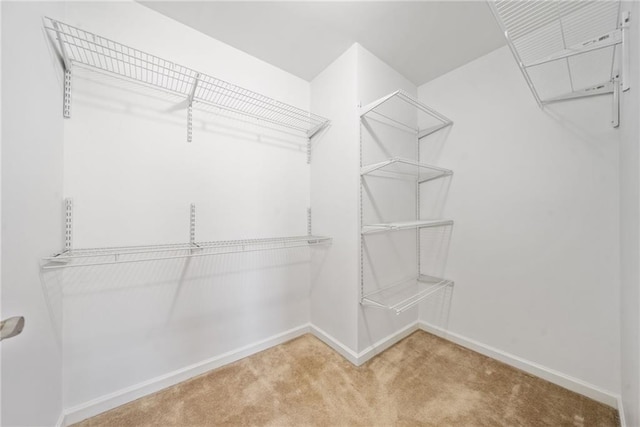 walk in closet with carpet