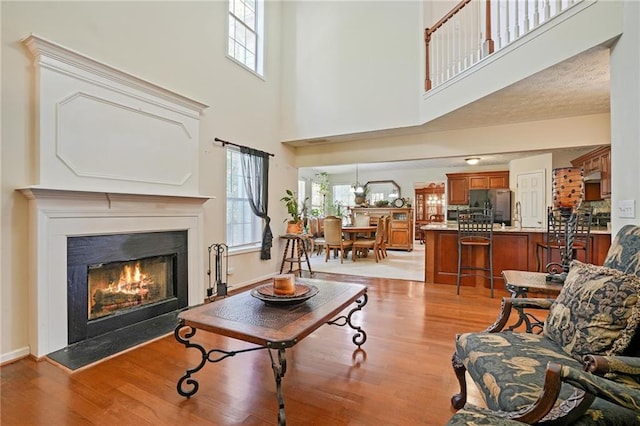 living room with a towering ceiling and light hardwood / wood-style floors