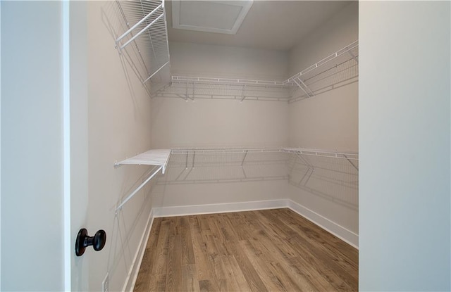 spacious closet with wood finished floors