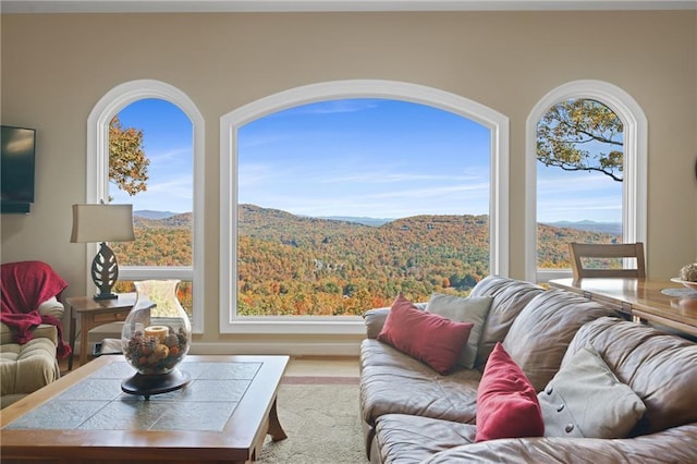 living room with a mountain view, healthy amount of natural light, and wood finished floors