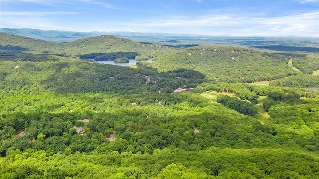 mountain view with a heavily wooded area and a large body of water