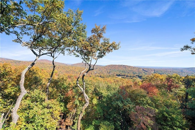 mountain view featuring a heavily wooded area
