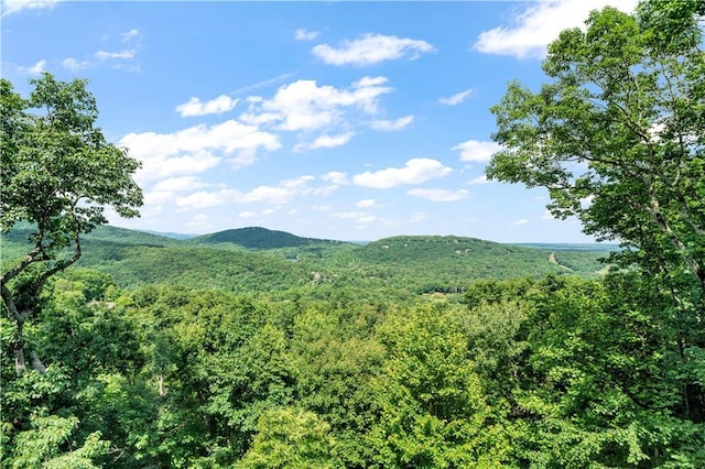 view of mountain backdrop featuring a heavily wooded area