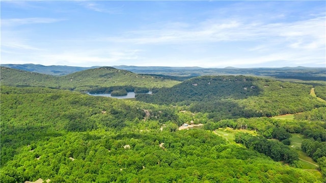 view of mountain background featuring a forest