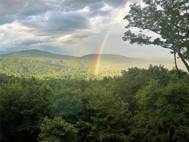 view of mountain backdrop with a forest