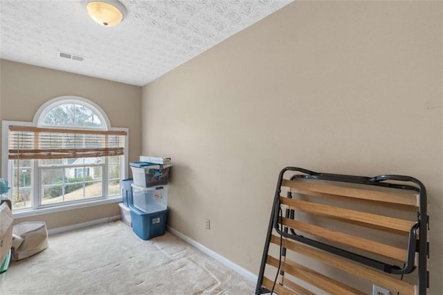 interior space featuring a textured ceiling, carpet, visible vents, and baseboards