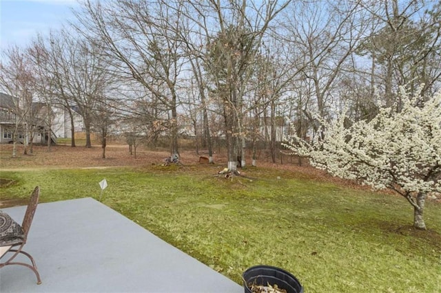 view of yard featuring a patio