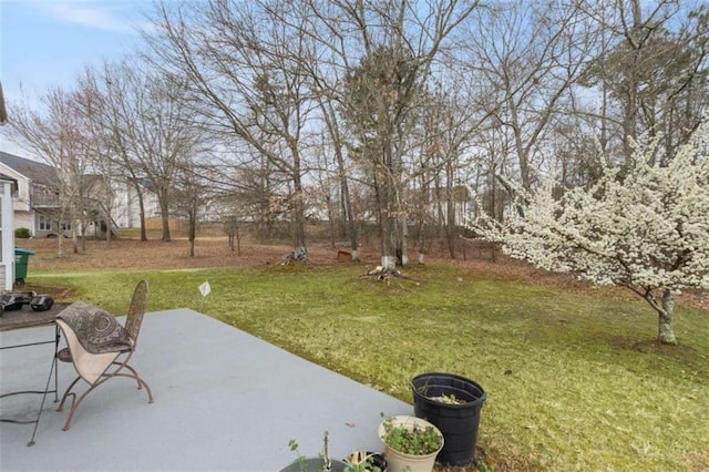 view of yard with a patio area