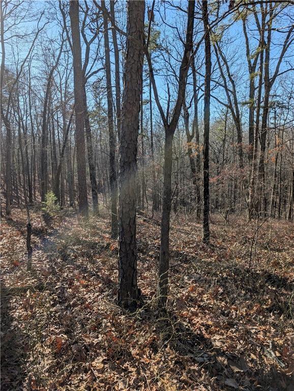 1422 Hanna Dr, Ranger, GA 30734