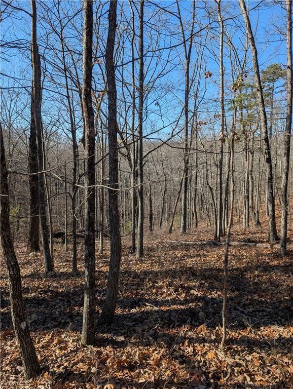 1422 Hanna Dr, Ranger, GA 30734