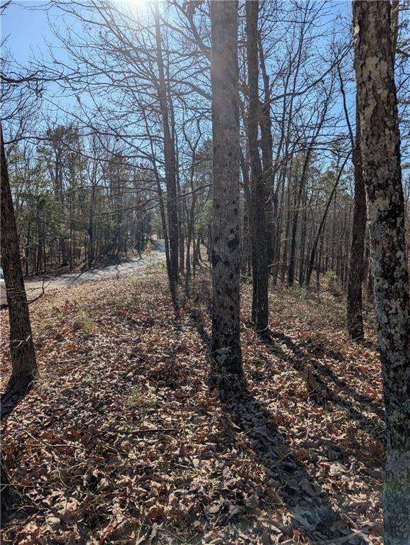 1422 Hanna Dr, Ranger, GA 30734