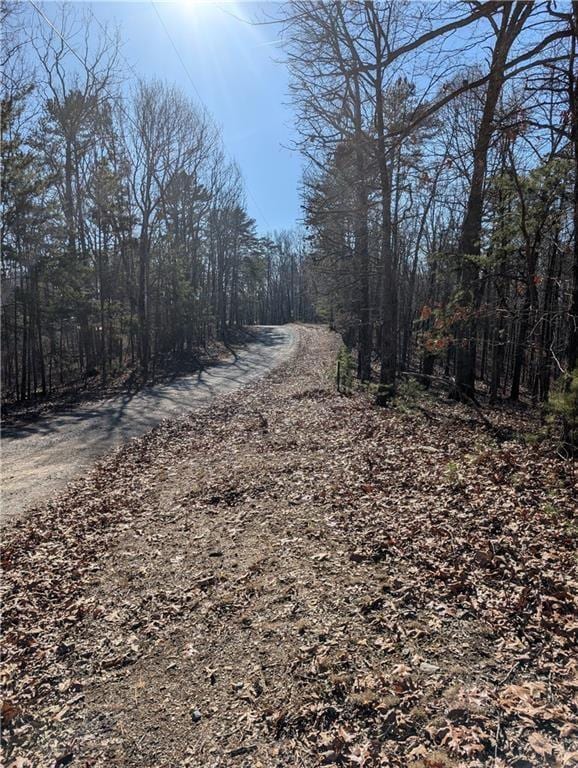1422 Hanna Dr, Ranger, GA 30734