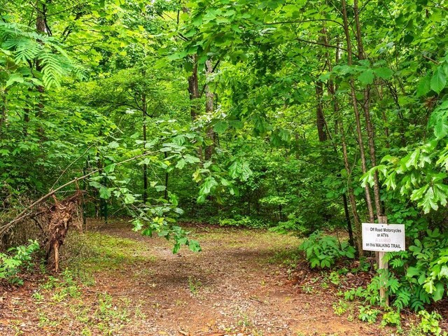 1422 Hanna Dr, Ranger, GA 30734