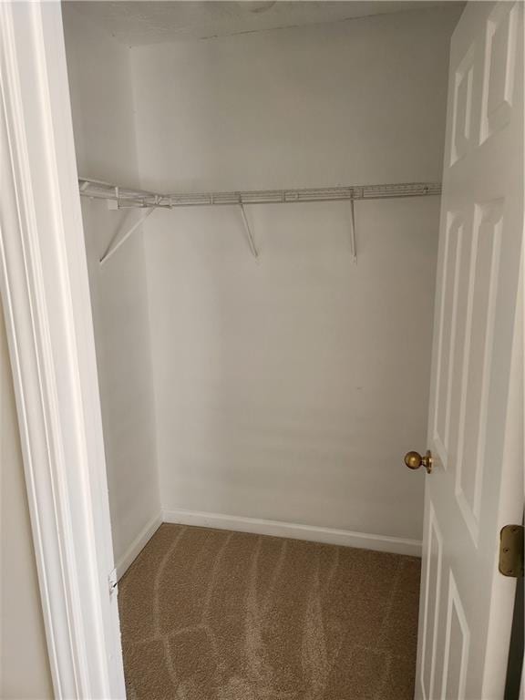 spacious closet featuring carpet