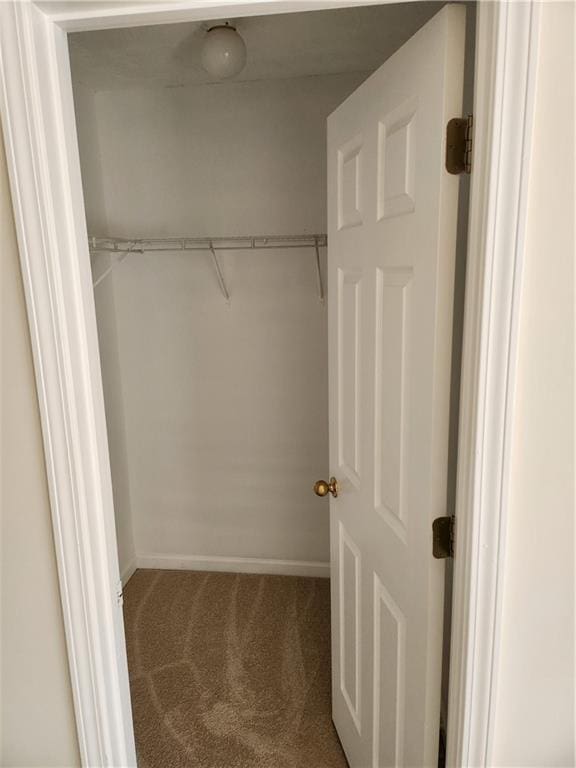 walk in closet with carpet