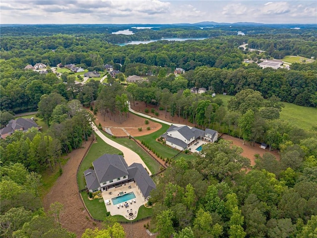 6301 New Bethany Rd, Buford, GA 30518 - aerial view of a forest and a pool