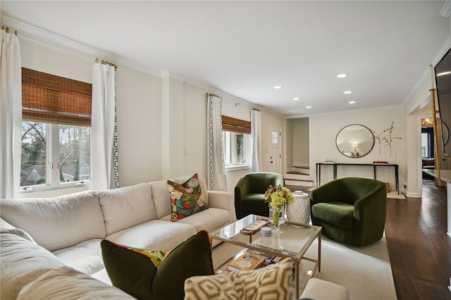 living room with a healthy amount of sunlight, crown molding, and hardwood / wood-style floors