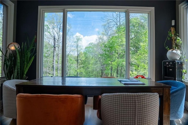 dining area featuring wood finished floors and a wealth of natural light