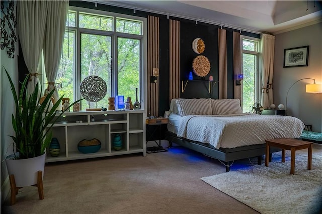 carpeted bedroom with multiple windows