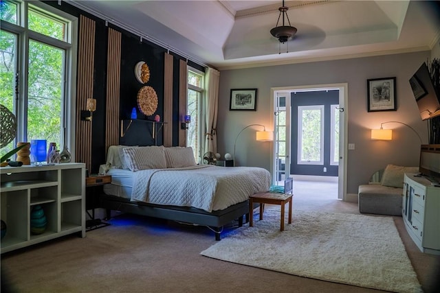 carpeted bedroom featuring baseboards, multiple windows, a tray ceiling, and crown molding