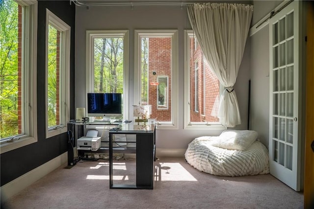 interior space with a wealth of natural light and carpet flooring