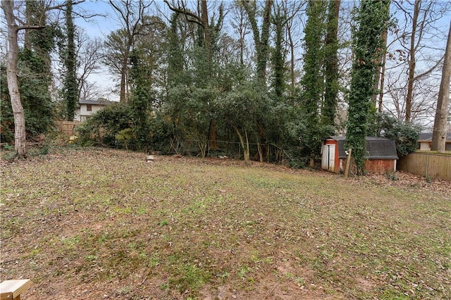 view of yard with a storage unit