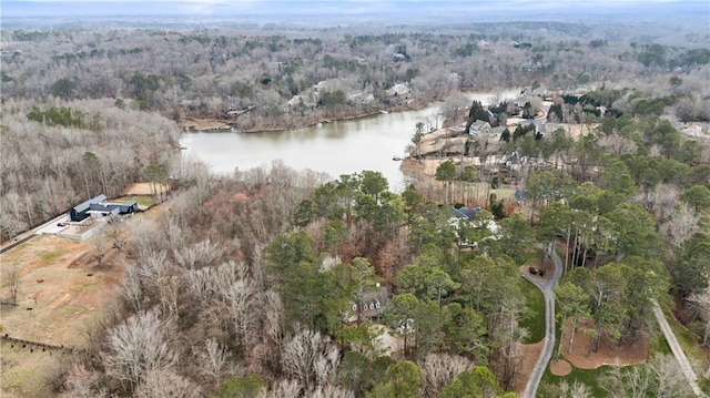 drone / aerial view with a water view and a view of trees