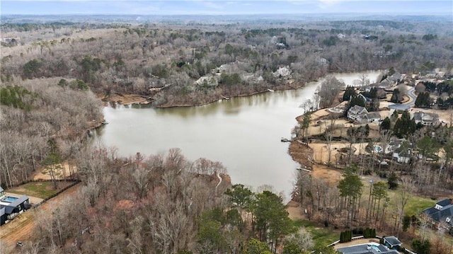 bird's eye view with a water view and a view of trees