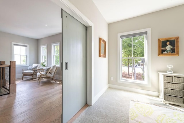 bedroom with baseboards, multiple windows, and light wood finished floors