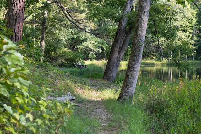 view of local wilderness featuring a forest view and a water view