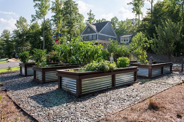 view of property's community featuring a vegetable garden