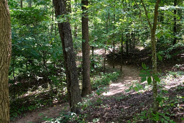 view of local wilderness featuring a forest view