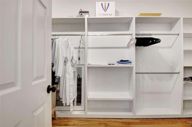 view of closet