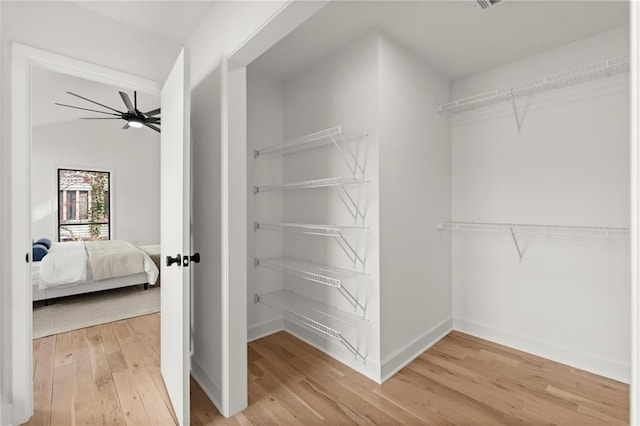 walk in closet featuring light wood finished floors