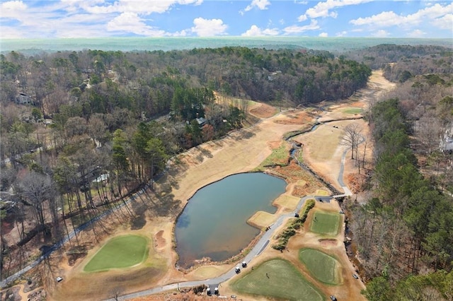 birds eye view of property with a forest view and a water view