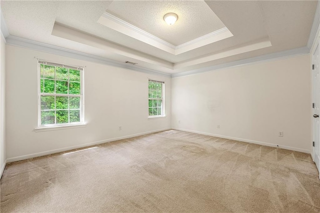 85 Old Gettysburg Way, Dallas, GA 30157 - carpeted spare room featuring a tray ceiling, crown molding, plenty of natural light, a textured ceiling, and baseboards