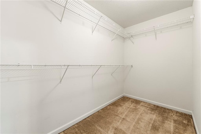 85 Old Gettysburg Way, Dallas, GA 30157 - walk in closet with carpet floors