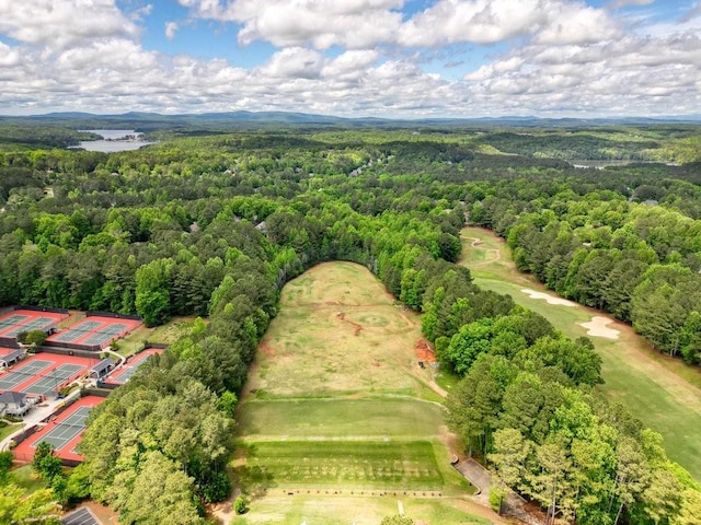 921 Laurel Crest Dr, Woodstock, GA 30189 - drone / aerial view of a forest