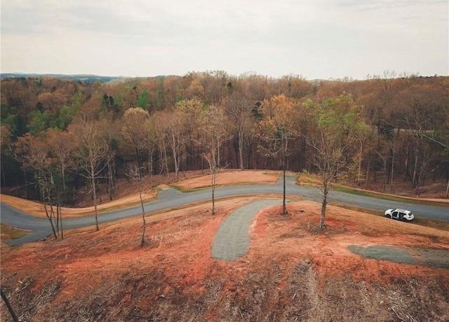 LOT90 Jakes Landing Way S, Ellijay GA, 30540 land for sale