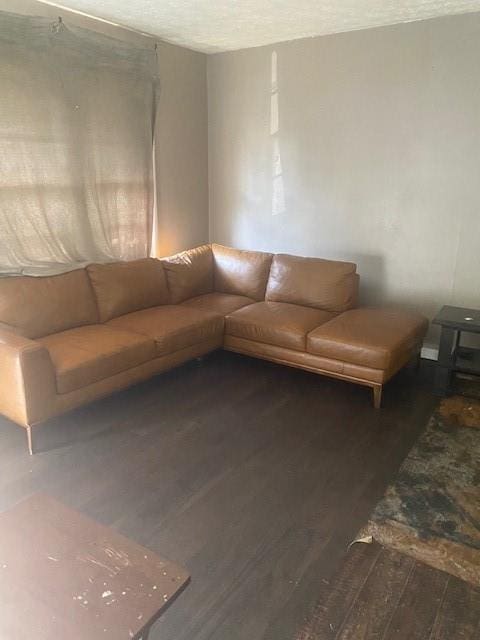 living room with dark hardwood / wood-style flooring and a textured ceiling