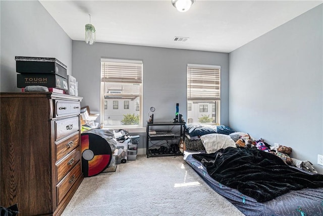160 Auburn Gate Ln, Auburn, GA 30011 - carpeted bedroom with multiple windows