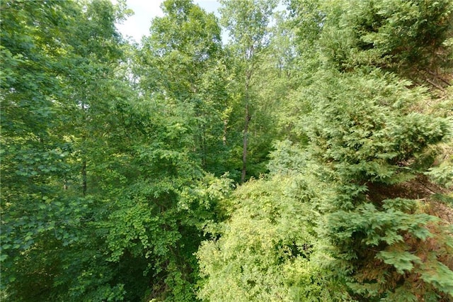 3260 Ridgefair Dr, Cumming, GA 30040 - view of woods