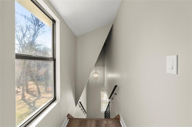 stairs with wood finished floors and baseboards